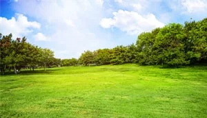 7-Acer-Land Image
